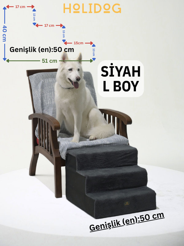 köpek merdiveni