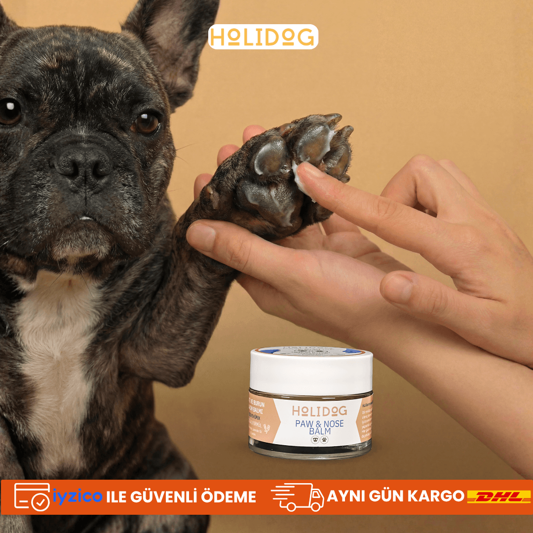 Kedi köpek Pati ve burun balmı